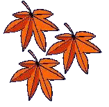 �͂��ς��@�R�@�܂��ł�